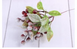 OSZRONIONA GAŁĄZKA Z JARZĘBINĄ 1SZT.