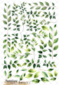leaves2stra.png