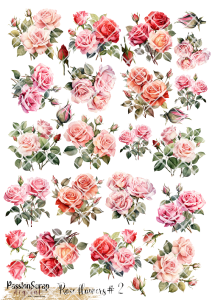 FLOWERS ROSE #02 WYDRUK A4