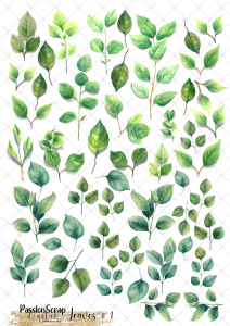 LEAVES #01 WYDRUK A4