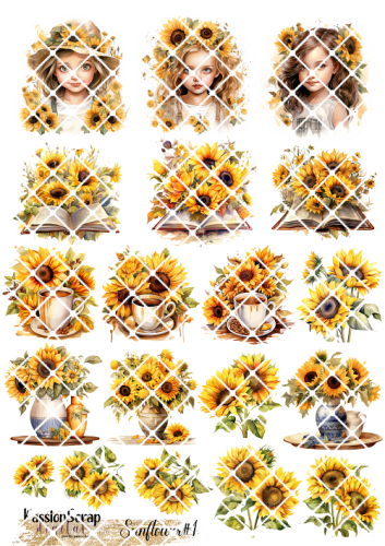 zestawasunflowers1sta (1).png