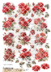 FLOWERS ROSE #03 PRINTABLE DIGITAL