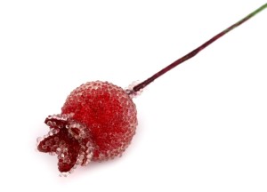 SZRONIONE OWOCE DZIKIEJ RÓŻY 16X22MM 20SZT.