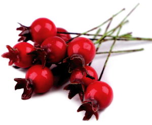 SZTUCZNE OWOCE DZIKIEJ RÓŻY 14X16MM 20SZT.