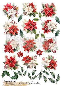 FLOWERS #14 POINSETTIA WYDRUK A4