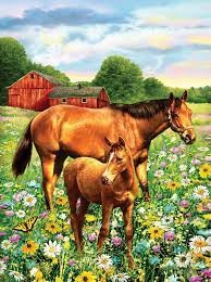 pobrany plik (21).jpg