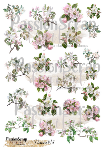 flowers18a1.png
