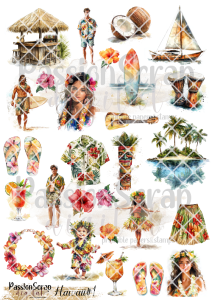 HAWAII#1 GRAPHICS PRINTABLE DIGITAL A4