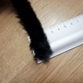20251017_165237.jpg