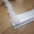 20251017_165048.jpg