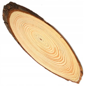 PODKŁAD DREWNIANY PLASTER DREWNA 30CM 1SZT. PJ-3869