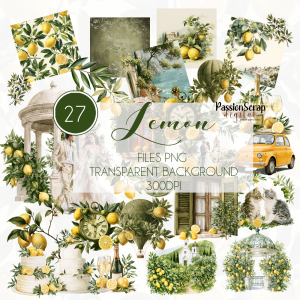 LEMON 27 DIGITAL SEPARATE FILES